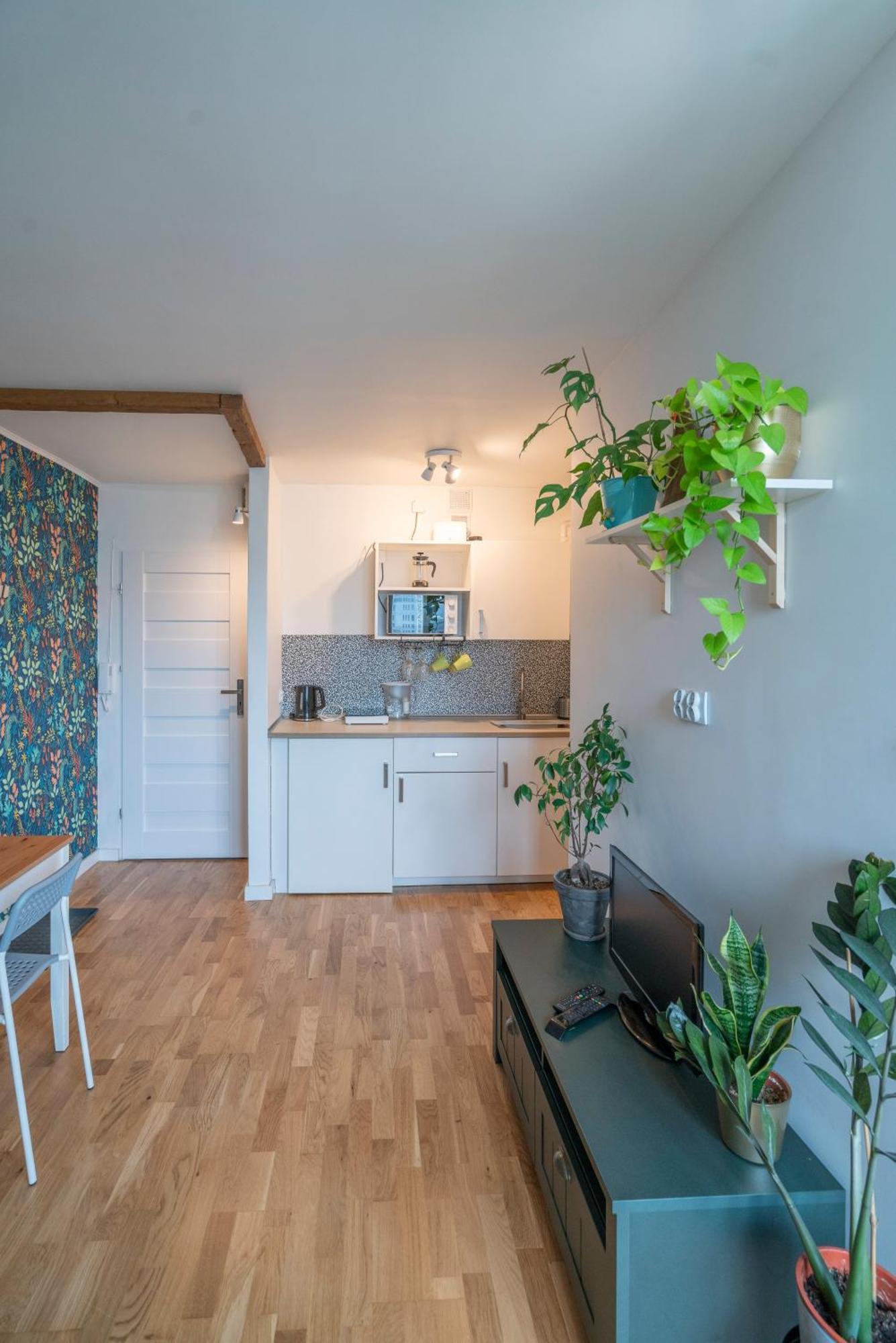 Green Studio In The City Center Of Wrocław Eksteriør bilde